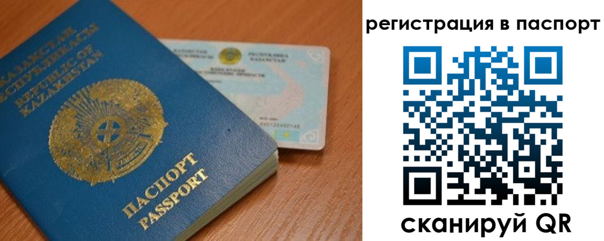 временная регистрация 2025 в Светлом