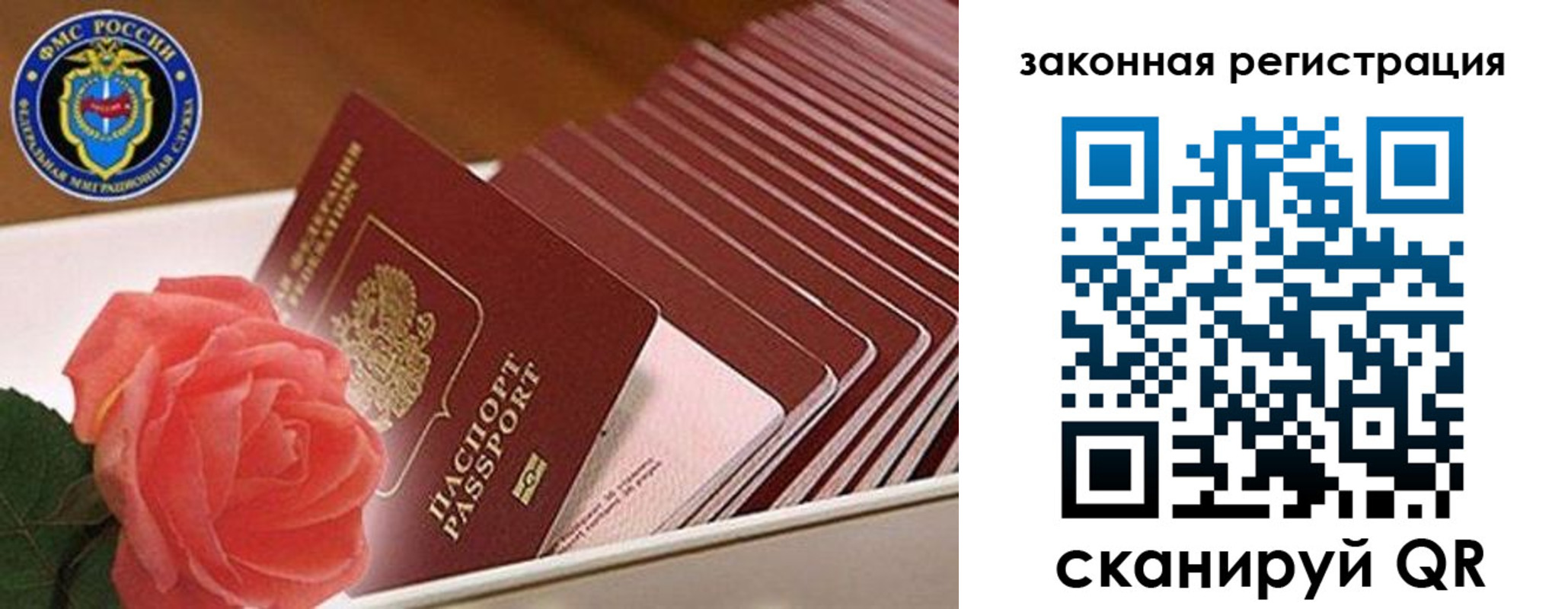 пропишу в квартире в Светлом